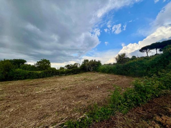 terreno agricolo in vendita a Zagarolo