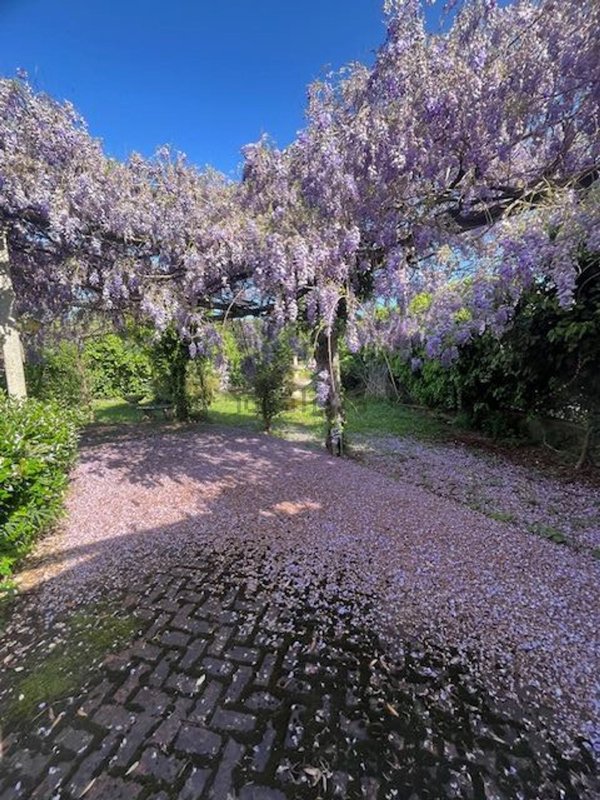 casa indipendente in vendita a Zagarolo