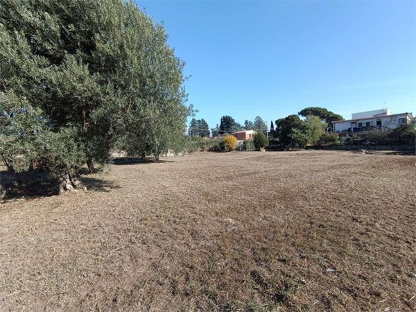 terreno agricolo in vendita a Zagarolo in zona Valle Martella
