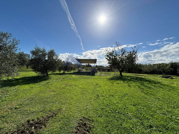 terreno agricolo in vendita a Zagarolo