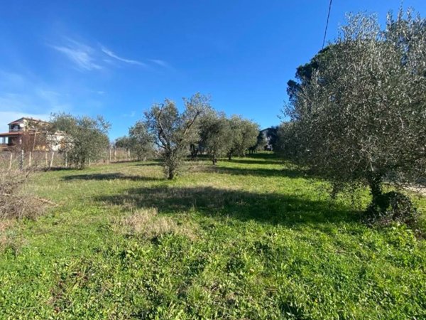 terreno agricolo in vendita a Zagarolo