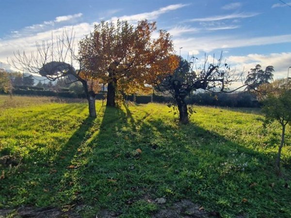terreno agricolo in vendita a Zagarolo