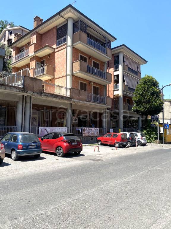 immagine annuncio 0 di 15