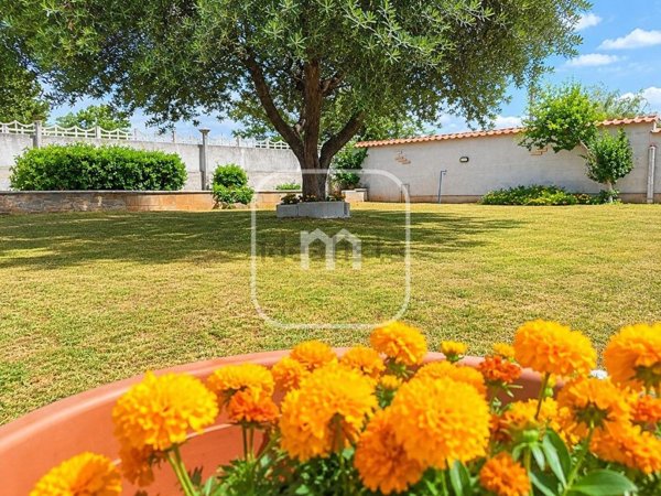casa indipendente in vendita a Zagarolo