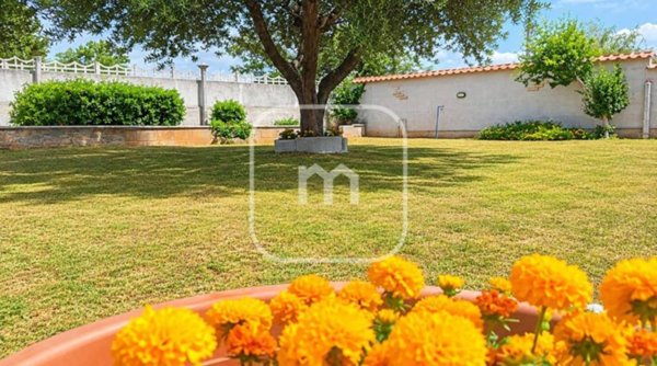 casa indipendente in vendita a Zagarolo