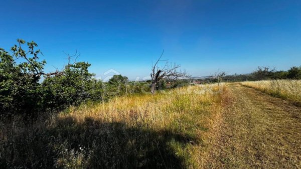 terreno agricolo in vendita a Zagarolo