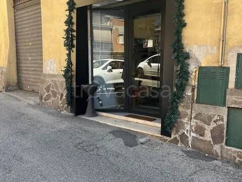 appartamento in vendita a Zagarolo