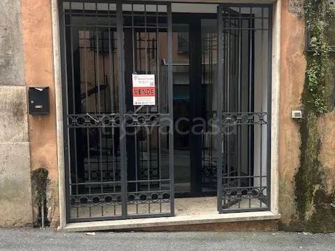 appartamento in vendita a Zagarolo