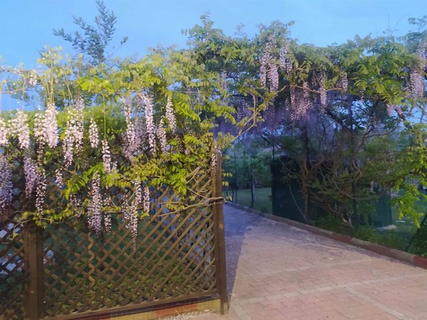 casa indipendente in vendita a Zagarolo in zona Valle Martella
