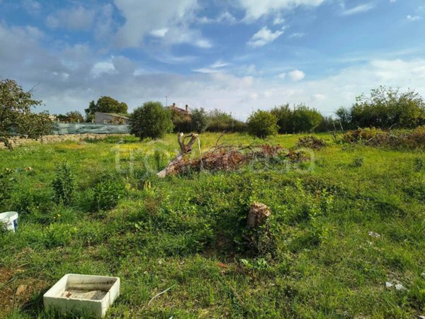 terreno in vendita a Zagarolo