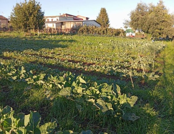negozio in vendita a Lariano