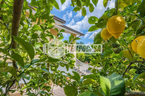 casa indipendente in vendita a Lariano