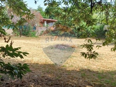 casa indipendente in vendita a Lariano
