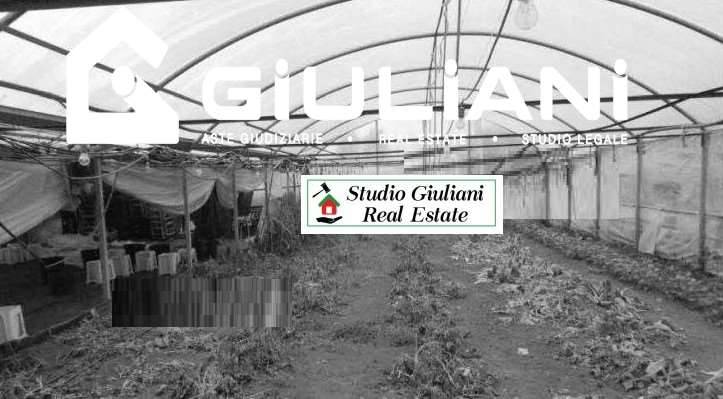 terreno agricolo in vendita a Lariano