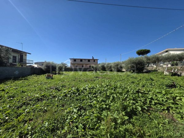 terreno agricolo in vendita a Lariano