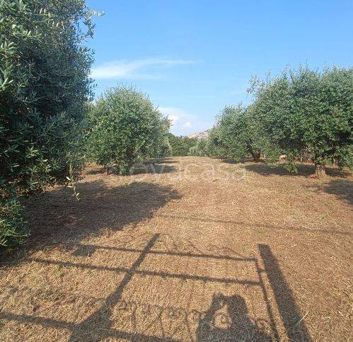 negozio in vendita a Lariano