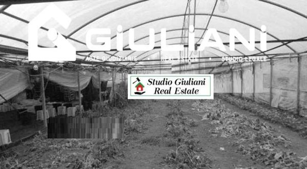 casa indipendente in vendita a Lariano