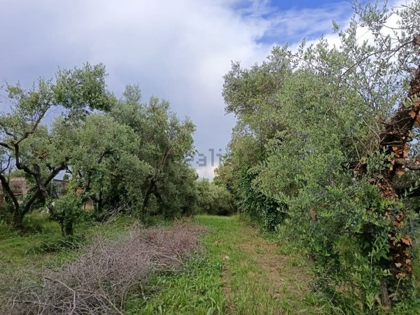 casa indipendente in vendita a Lariano