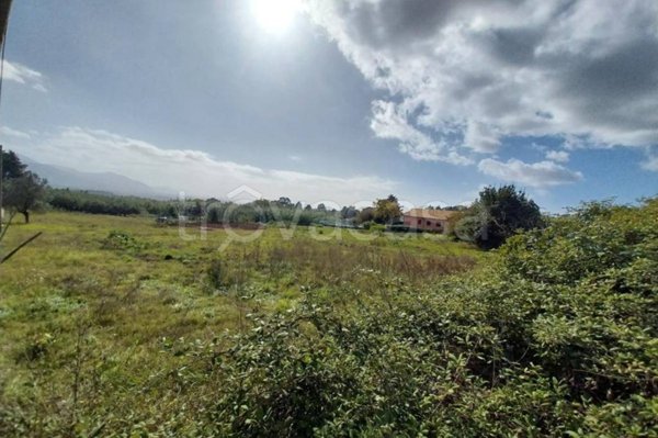 negozio in vendita a Lariano