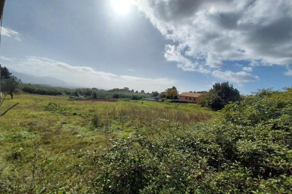 negozio in vendita a Lariano