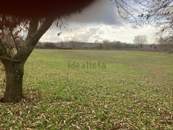 terreno agricolo in vendita a Lariano