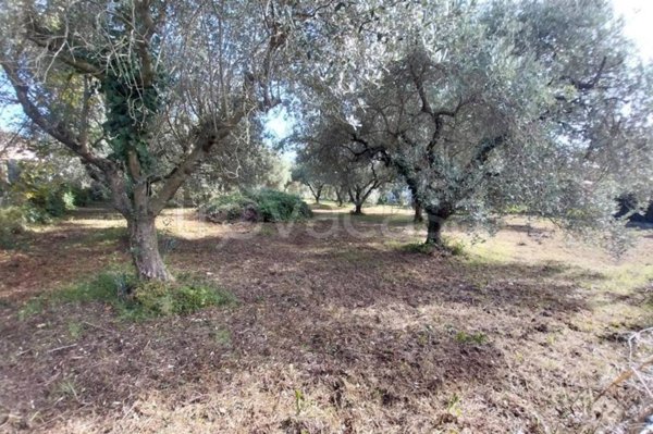 terreno agricolo in vendita a Lariano