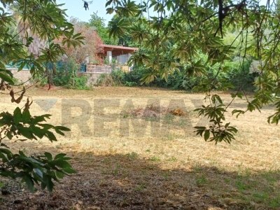 casa indipendente in vendita a Lariano