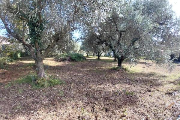 negozio in vendita a Lariano