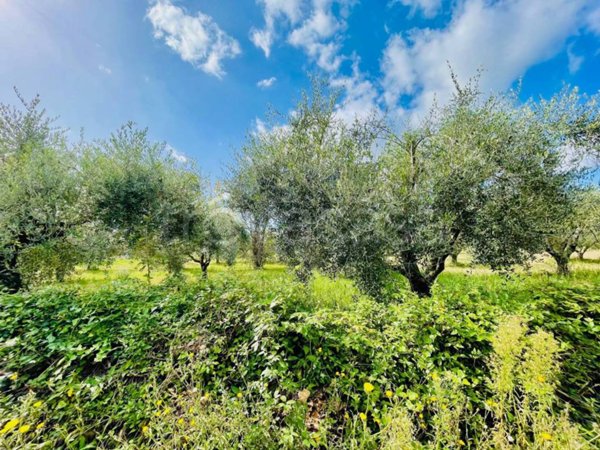 appartamento in vendita a Lariano