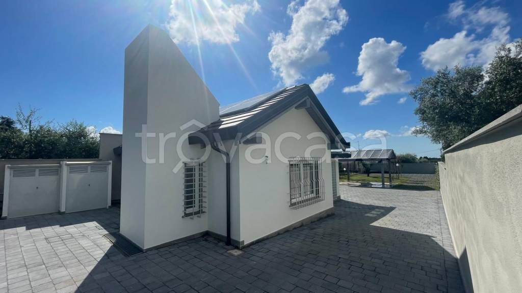 immagine annuncio 0 di 15