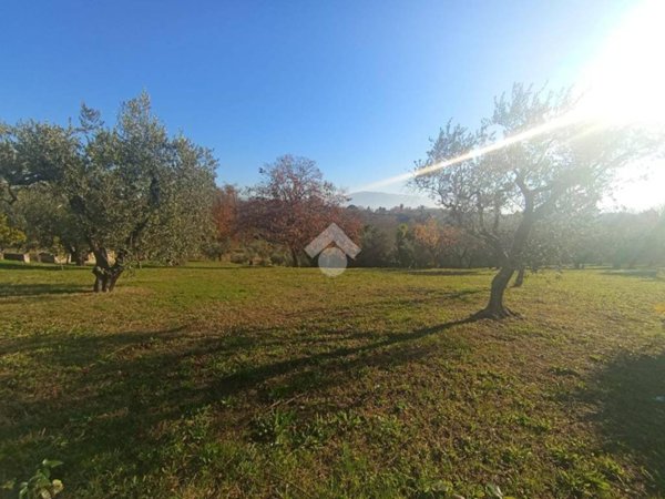 terreno edificabile in vendita a Lariano