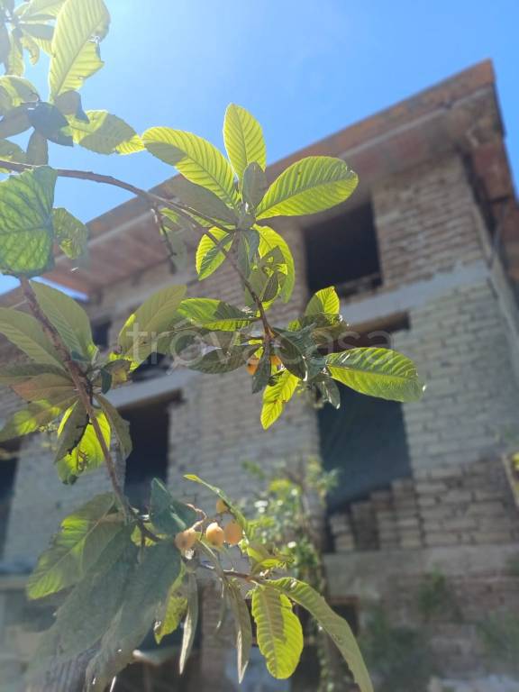 casa indipendente in vendita a Lariano