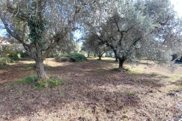 terreno in vendita a Lariano