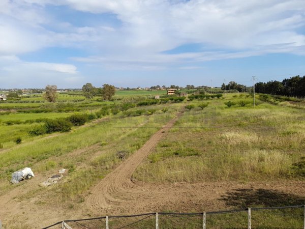 terreno agricolo in vendita a Ladispoli in zona Monteroni