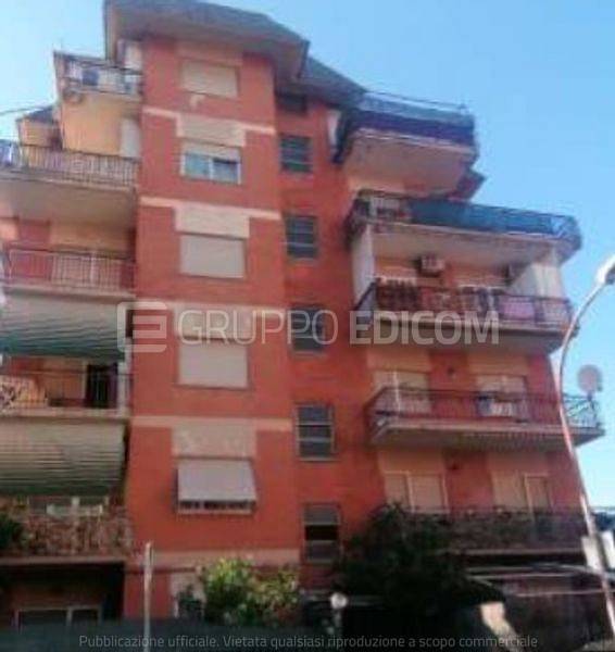appartamento in vendita a Ladispoli