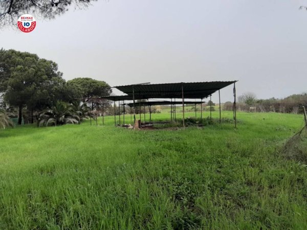 terreno agricolo in vendita a Ladispoli in zona Monteroni