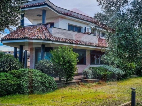 negozio in vendita a Ladispoli