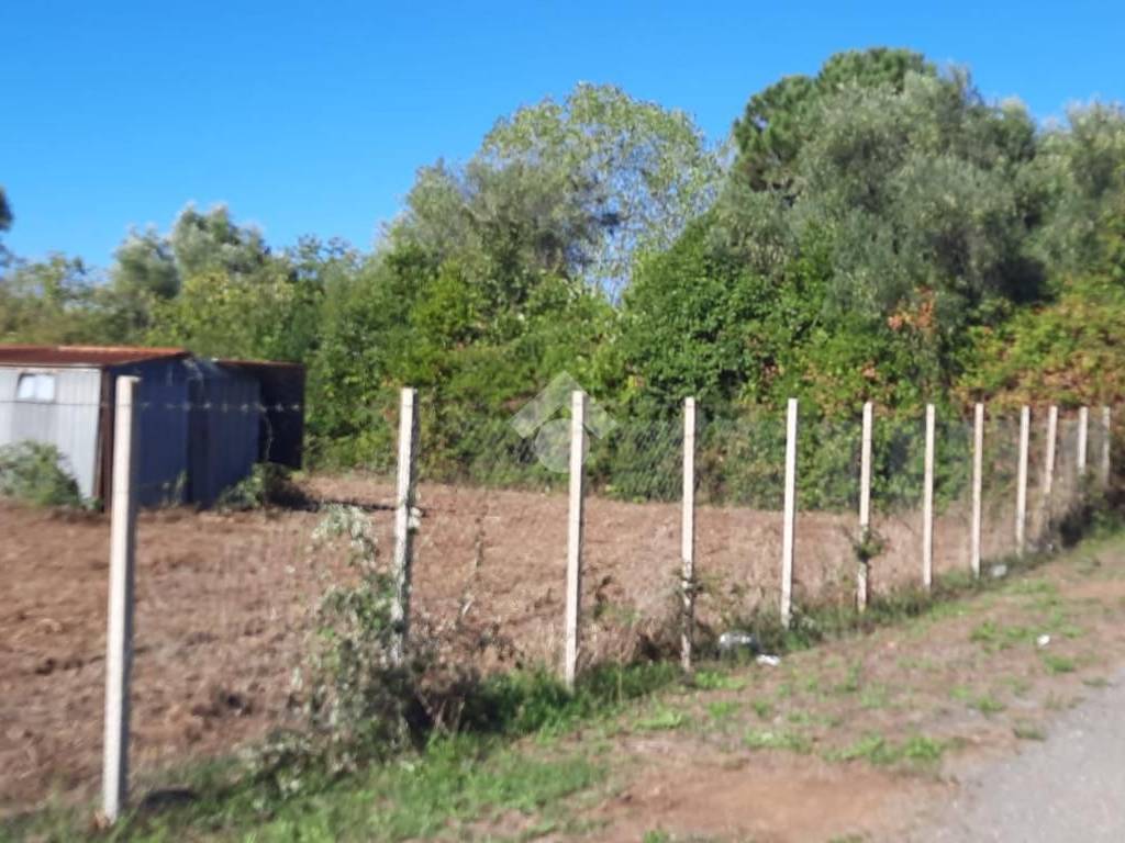 terreno agricolo in vendita a Ladispoli in zona Monteroni