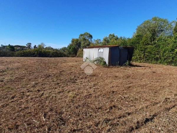 terreno agricolo in vendita a Ladispoli in zona Monteroni