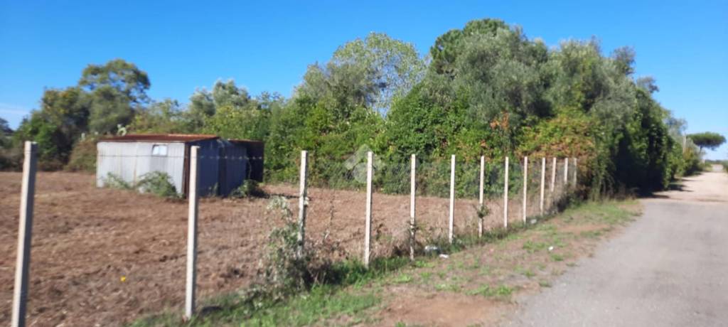 terreno agricolo in vendita a Ladispoli