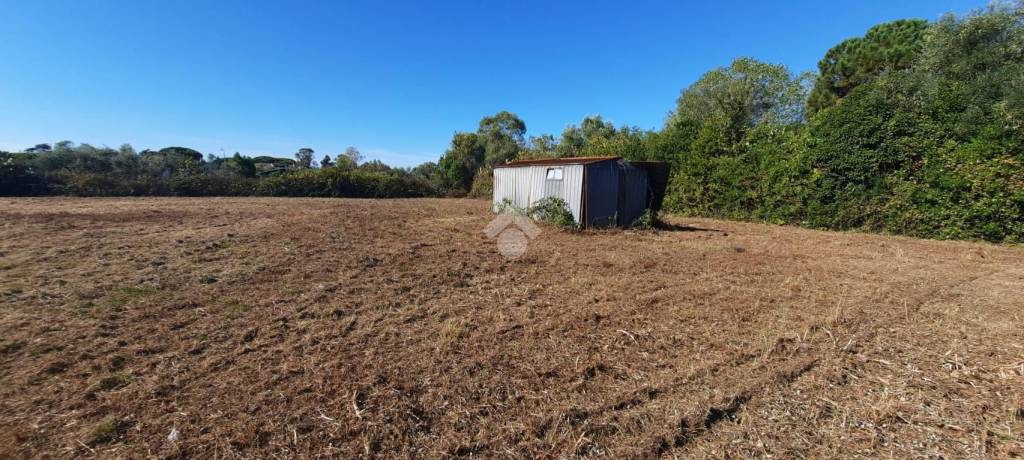 terreno agricolo in vendita a Ladispoli