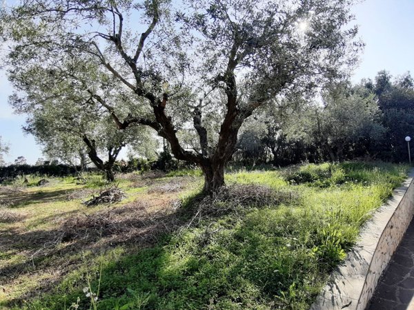 casa indipendente in vendita a Ladispoli in zona Monteroni