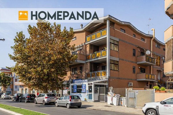 appartamento in vendita a Ladispoli