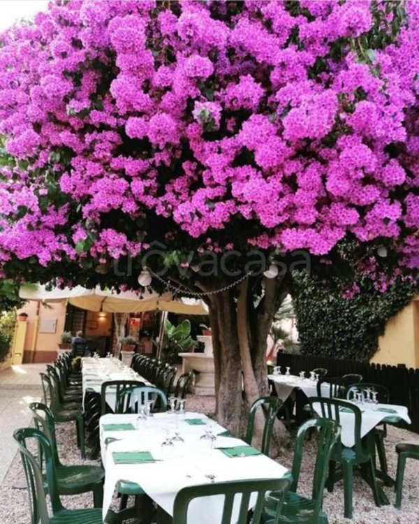 negozio in vendita a Ladispoli