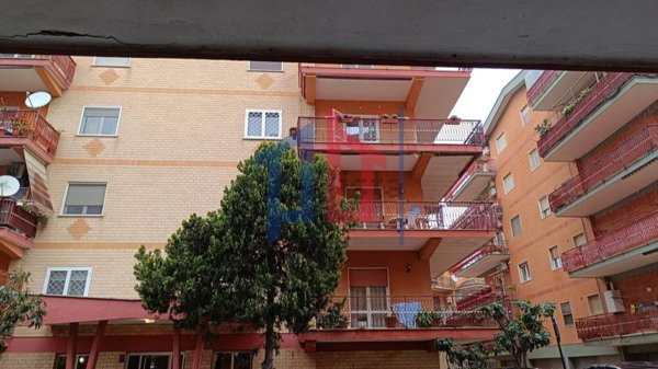 appartamento in vendita a Ladispoli