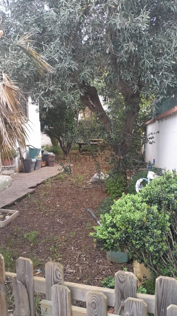 casa indipendente in vendita a Ladispoli