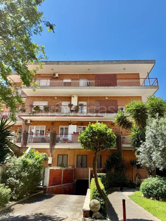 appartamento in vendita a Ladispoli