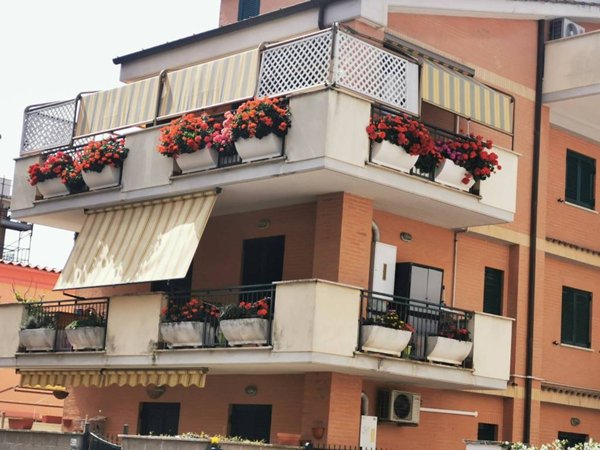 appartamento in vendita a Ladispoli