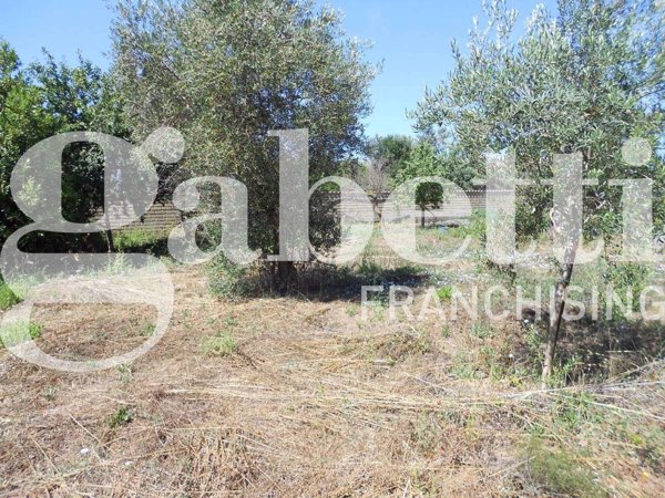 terreno agricolo in vendita a Ladispoli