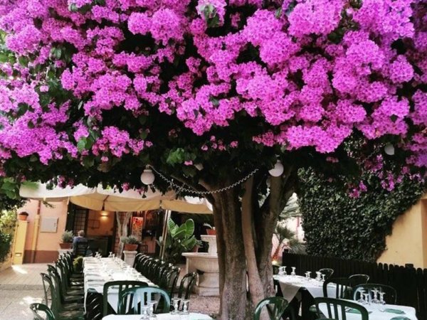 negozio in vendita a Ladispoli